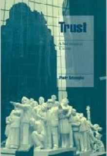 ‘Trust: A Sociological Theory (Cambridge Cultural Social Studies)’